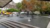 DSC00887.JPG