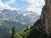 Stevia_09.07.2011_3_.jpg