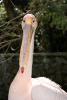 Zoo_005.jpg