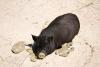 Zoo_013.jpg