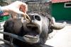 Zoo_016.jpg