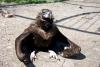 Zoo_029.jpg
