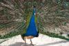 Zoo_034.jpg