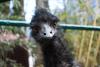 Zoo_062.jpg