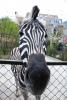 Zoo_047.jpg