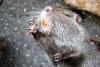 Zoo_057.jpg