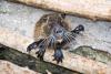 Zoo_059.jpg