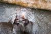 Zoo_056.jpg