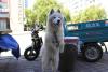 2013-07-06 03-55-38.JPG