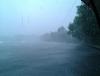 WP_000774.jpg