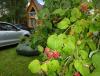 DSC01199.JPG