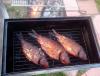 IMG_20140704_211053.jpg