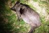 IMG-20140702-WA0017.jpg