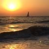 IMG_5555.JPG
