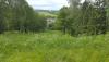 20170705_165452.jpg
