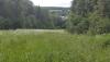 20170705_170359.jpg
