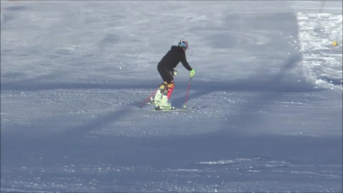 post-38304-0-15962200-1532721442.gif