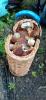 IMG-20240721-WA0011.jpg