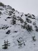 IMG_20231126_091806_844.jpg