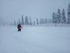 IMG_20220130_105459.jpg