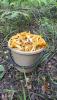 IMG-20250720-WA0014.jpg