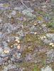 IMG-20250705-WA0002.jpg