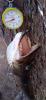 IMG-20240729-WA0011.jpg