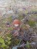 IMG-20250712-WA0002.jpg