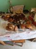 .trashed-1754137738-IMG_20250703_151825.jpg