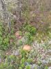 IMG-20250628-WA0005.jpg