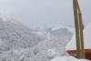DSC_0453.JPG