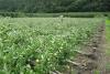 Unwetter_Hagel_und_Windboeen_Video_gallerie_sport_tag.jpg