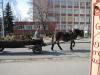 POZOR_YETI_2011_337.jpg