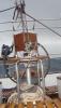 DSC00986.JPG
