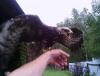 IMG_20130831_103839.jpg