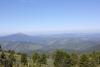 IMG_8566.JPG