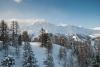 DSC_0281-2.JPG