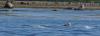 DSC04039_1.jpg