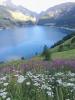 IMG-20180730-WA0002.jpg