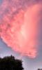 IMG_20180806_204248_HDR.jpg