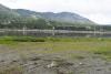 DSC03556.jpg