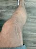 IMG_6783.jpeg