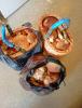 IMG-20240820-WA0001.jpg