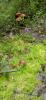 IMG-20250831-WA0003.jpg
