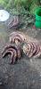 IMG-20250825-WA0011.jpg