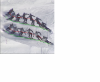 6a8d9ec6db867_.png