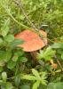 IMG_20260801_152601.jpg