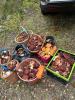 IMG-20250919-WA0006.jpg