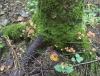 IMG_3719.jpeg