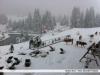 Schnee_19.09.11.jpg